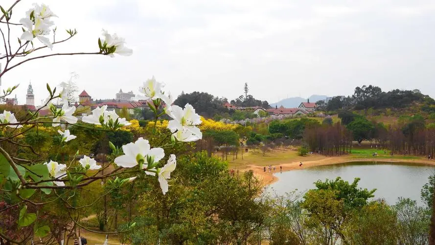 松湖花海