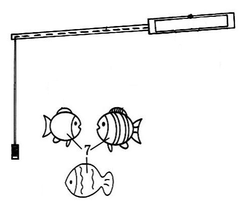 釣魚(yú).jpg